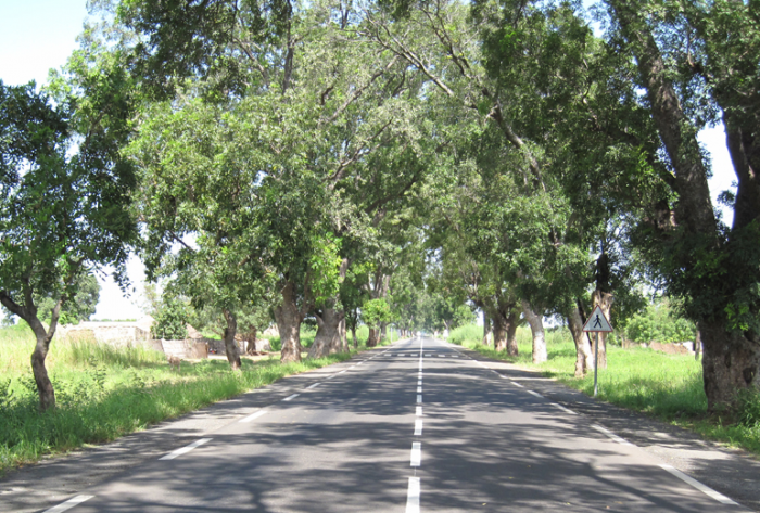 TAMBACOUDA-MEDINA GOUNASS1 copie